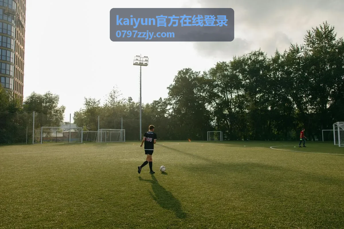 kaiyun官方在线登录网页端账号登录界面